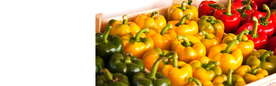 Gezonde Tussendoortjes